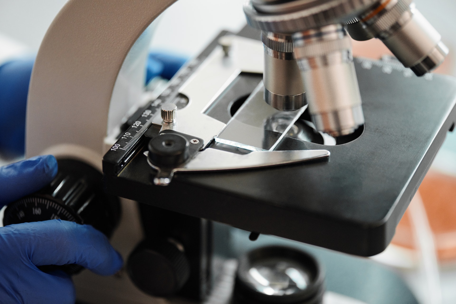Behind-the-scenes pathology lab